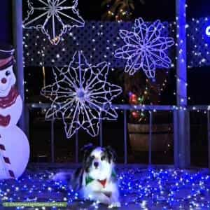 Christmas Light display at 9-11 Howell Street, Illabo