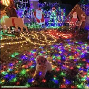 Christmas Light display at 35 Rochdale Drive, Burwood East