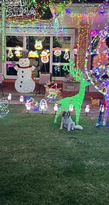 Christmas Light display at 1 McBeath Street, Hectorville